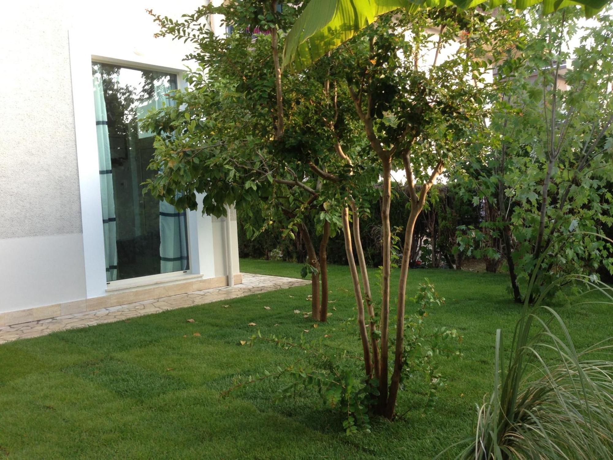 Loft 1, 2 E 3, A 150 M Dal Mare, Centro Pineto