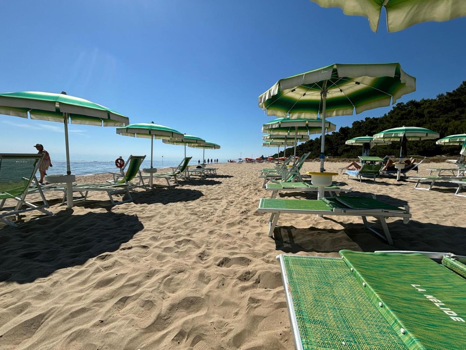 Loft 1, 2 E 3, A 150 M Dal Mare, Centro Pineto